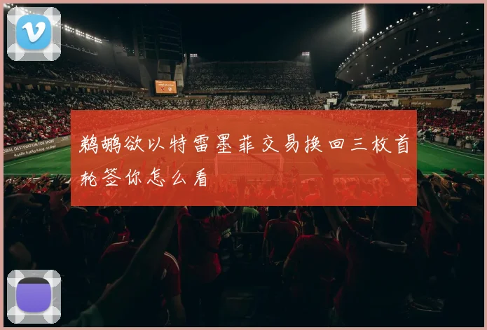 鹈鹕欲以特雷墨菲交易换回三枚首轮签你怎么看