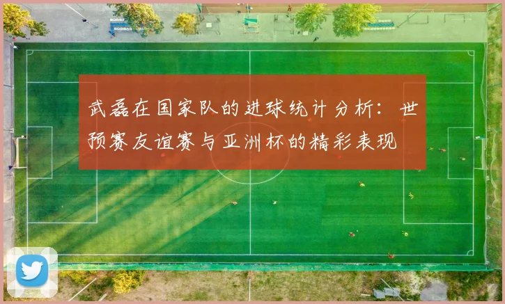 武磊在国家队的进球统计分析：世预赛友谊赛与亚洲杯的精彩表现